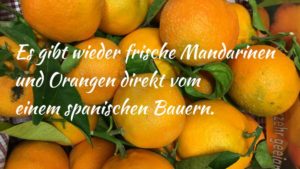 Orangen